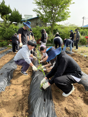 영해고, 학생 4-H 텃밭 가꾸기 활동 실시