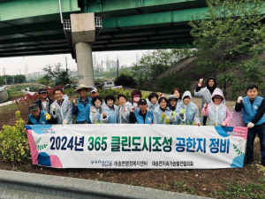 포항 대송면, 클린도시조성 공한지 정비