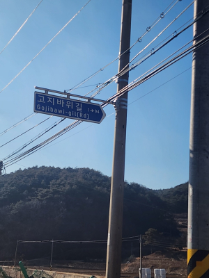 봉화군, 도로명 주소 안내시설 일제조사
