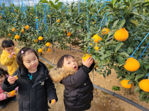 <특집> 미래 농업 육성 포항시, 농업 혁신 전폭 지원