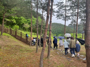 ‘울진의 숲’ 경북 대표 관광상품으로