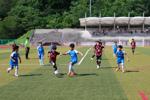 울진군, 백암온천배 전국 유소년 축구대회 개최