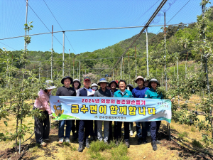 성주군 금수면, 무학리 농가 일손돕기 동참