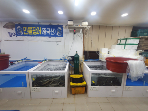 ‘중국산 민물장어가 국산으로’ 버젓이 유통