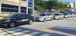 영주, 택시 7대 감차…대당 1억1천만원 보상