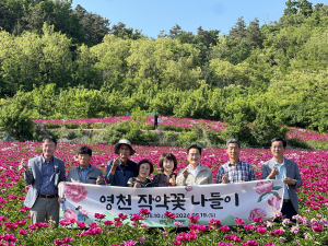 작약꽃 향기 흩날리는 ‘영천한약축제’