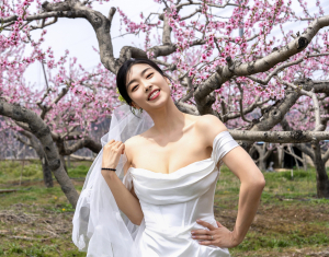 영천복사꽃 아름다움, 사진 속 예술로 승화