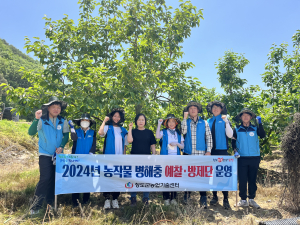 청도군, 우심지역 돌발해충 정밀 예찰