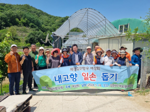 재경김천시향우회원, 내고향 일손 돕기