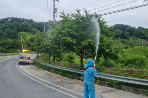 영주시, 쾌적한 가로경관 위한 방제