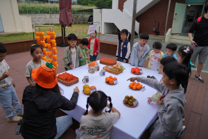 경북농기원 상주감연구소, 감꽃체험 행사