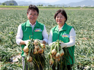 경북도, 주주형 공동영농 모델…농가소득 2배 껑충