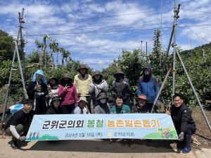 대구시 군위군의회, 영농철 맞아 농촌일손돕기 나서