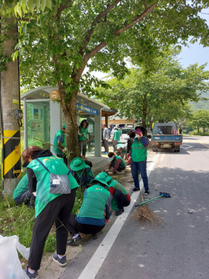 성주군 가천면 새마을남녀지도자협의회, 여름철 대비 환경미화 활동 전개