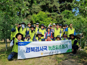 농협중앙회 경북검사국, 사과재배 농가 일손돕기 ‘팔걷어’