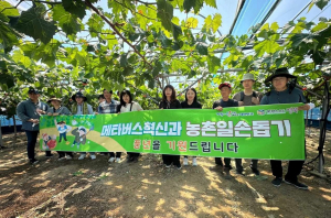 메타버스혁신과, 영천 포도농가에 힘 보태