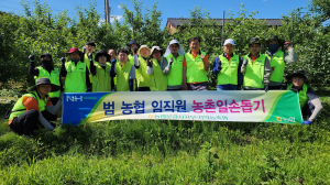 농협 문경시지부 임직원, 사과 적과작업