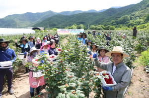 청도군, 영농철 농촌일손돕기 지원