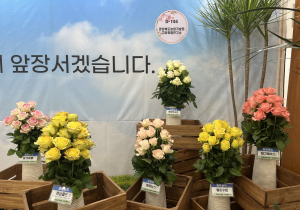 경북농기원, 신품종 화훼 대구꽃박람회에 선봬