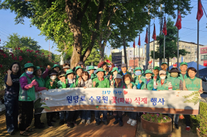 영주 하망동, 원당로 수목원 여름 꽃 식재