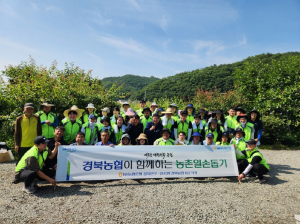 NH농협 경북본부, 농촌일손돕기 ‘두팔걷어’