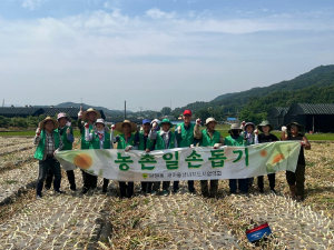 상주시 남원동 새마을지도자회, 양파수확 일손돕기