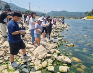 경주시, 동창천서 다슬기 45만 마리 방류