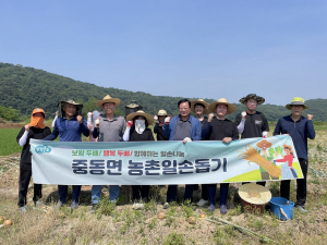 상주시 중동면, 양파 수확 직원 일손돕기 지원 ‘구슬땀’
