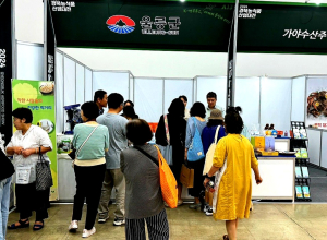 울릉도 특산품 인기