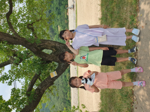 울진군 매화면, 매화나무 이름표 달기 행사
