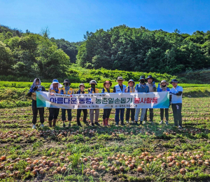 김천시, 적십자 봉사회와 함께 농촌 일손 돕기
