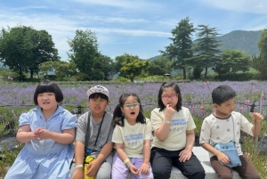 고령교육지원청, 특수교육대상학생 연합 현장체험학습 실시