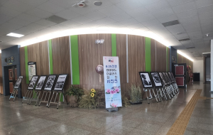 경산시, 6ㆍ25 참상 담은 종군기자 사진전