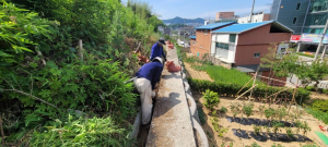 김천시 자산동, 장마 대비 배수로 시설물 점검