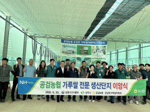 상주 공검농협 가루쌀 전문 생산단지 이앙식
