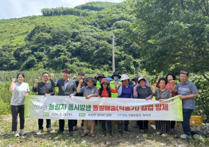 포항시, 외래 돌발 병해충 협업 방제작업 나서