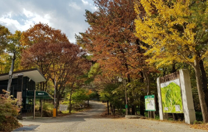 경주 토함산휴양림 “반려견과 힐링해요”