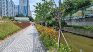 포항시 연일읍 생지리 농수로 악취 걱정 끝…친수공간 변신