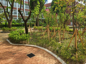 대구시,  경북여고ㆍ대구고ㆍ서재중 3곳 1억8천만원 들여 학교숲 조성