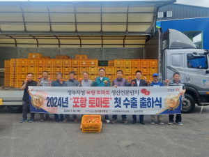 ‘육질 단단’ 포항 상옥 토마토, 일본 첫 수출길