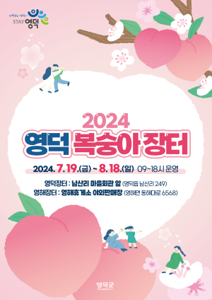 달고 맛있는 영덕 복숭아 출하