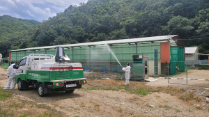 대구시 보건환경연구원, ASF 발생…축산농가ㆍ취약지 소독 강화
