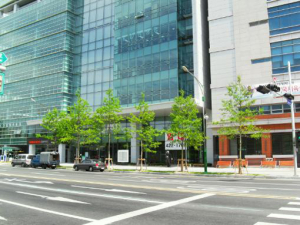 공원 녹지조성 밀생나무 활용