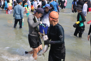 오징어 잡고 해변축제 즐기고 “올 여름휴가 구룡포로 오세요”