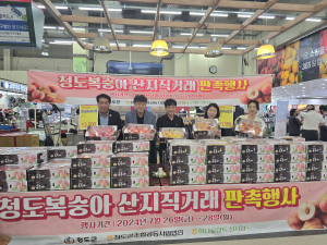 청도군, 대구서 청도 복숭아 특판 행사