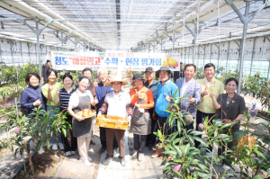 청도군, 기후변화 대응 애플망고 본격 출하
