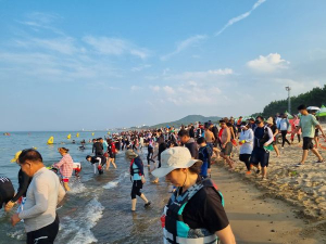 포항시 송라면, 화진해수욕장 조개잡이 체험 성료