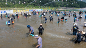 무더위 날린 영덕 황금은어축제 성료