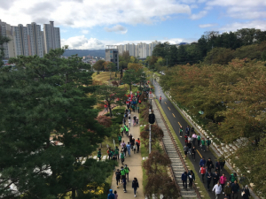 포항 철길숲ㆍ송도 솔밭, 아름다운 도시숲 선정
