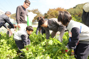 청도군, 친환경농업체험마을조성 준비박차